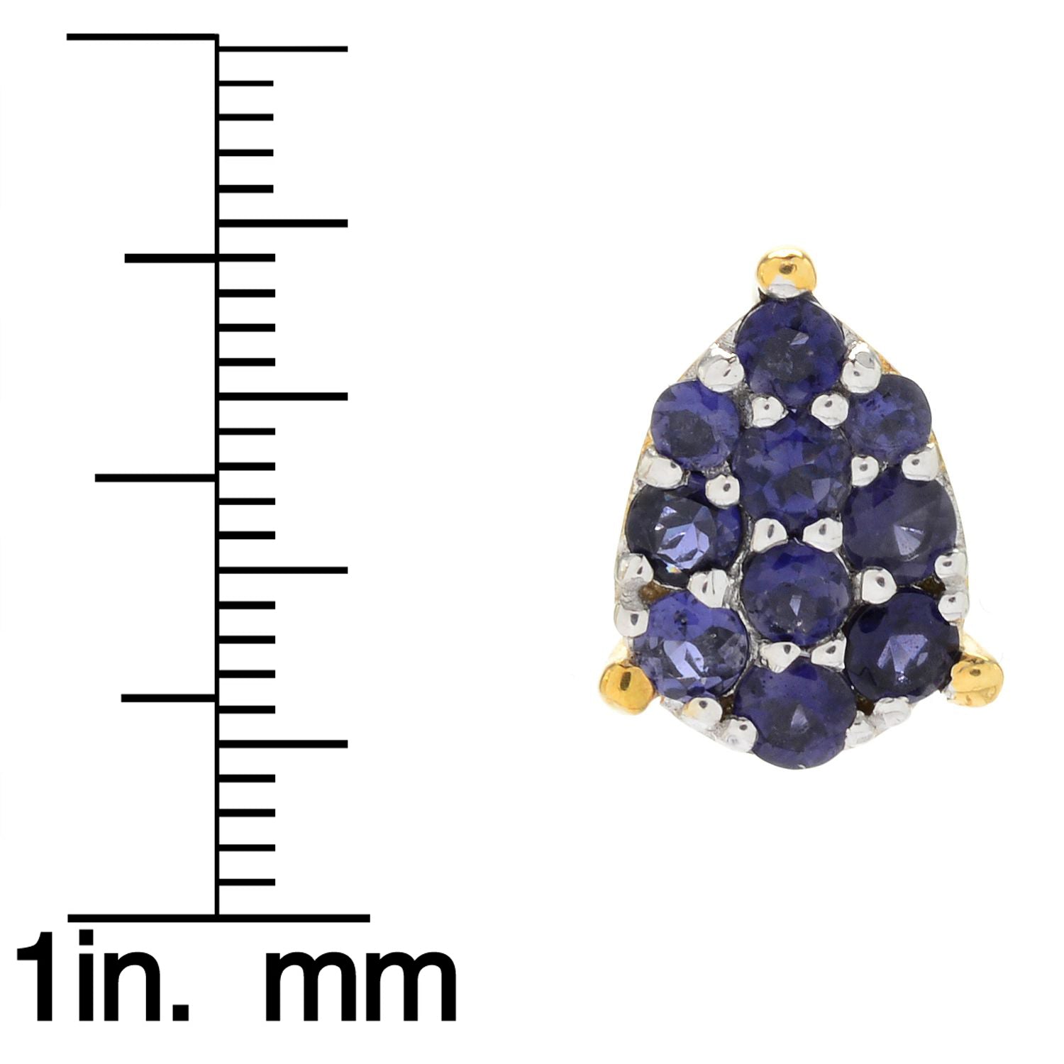 Gems en Vogue 1.32ctw Iolite Cluster Pear Shape Stud Earrings