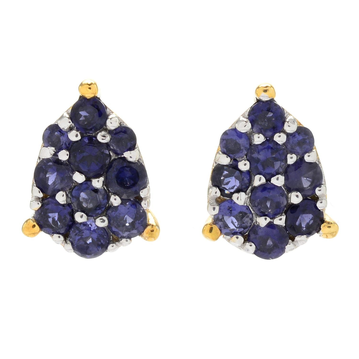 Gems en Vogue 1.32ctw Iolite Cluster Pear Shape Stud Earrings