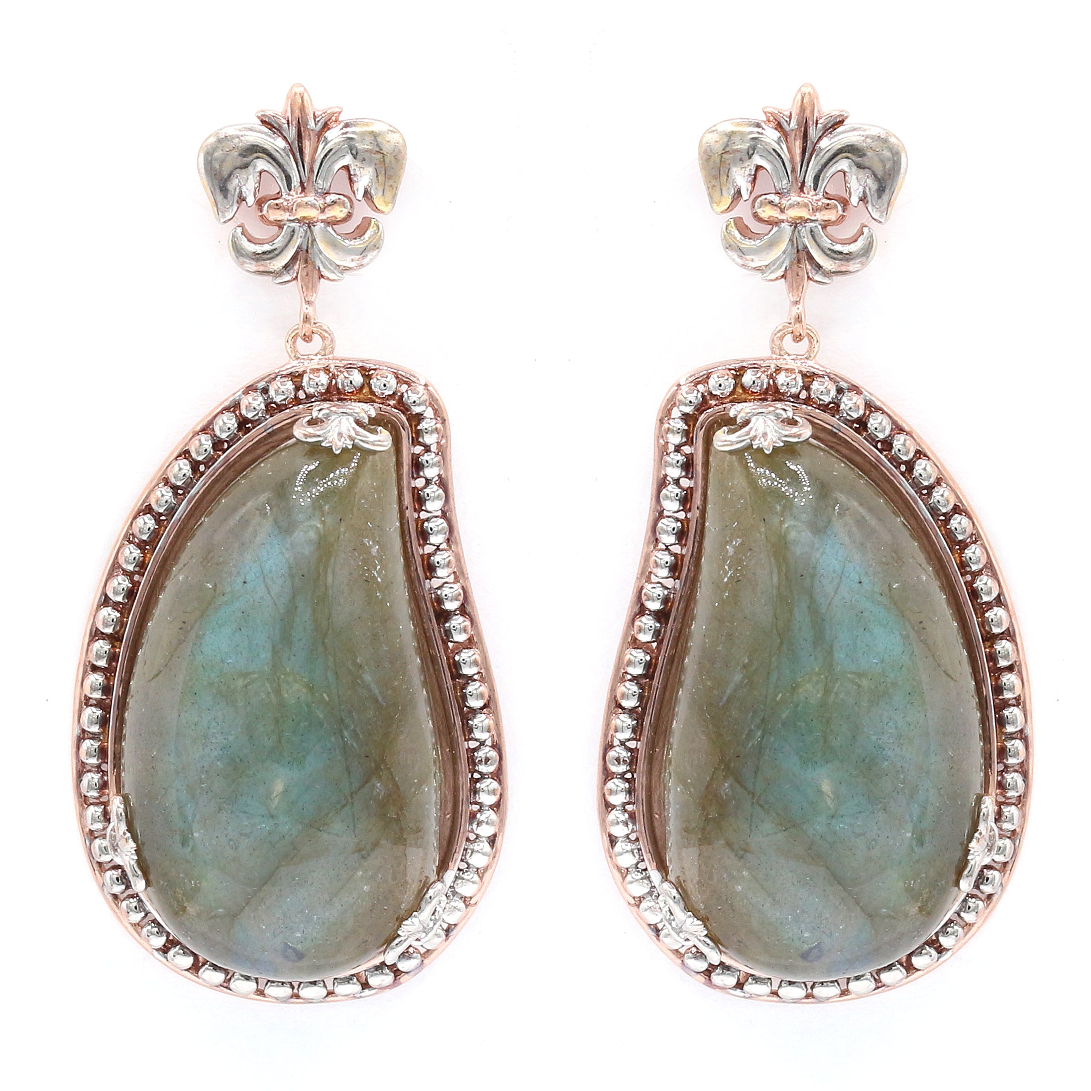 Gems en Vogue Freeform Labradorite Drop Earrings