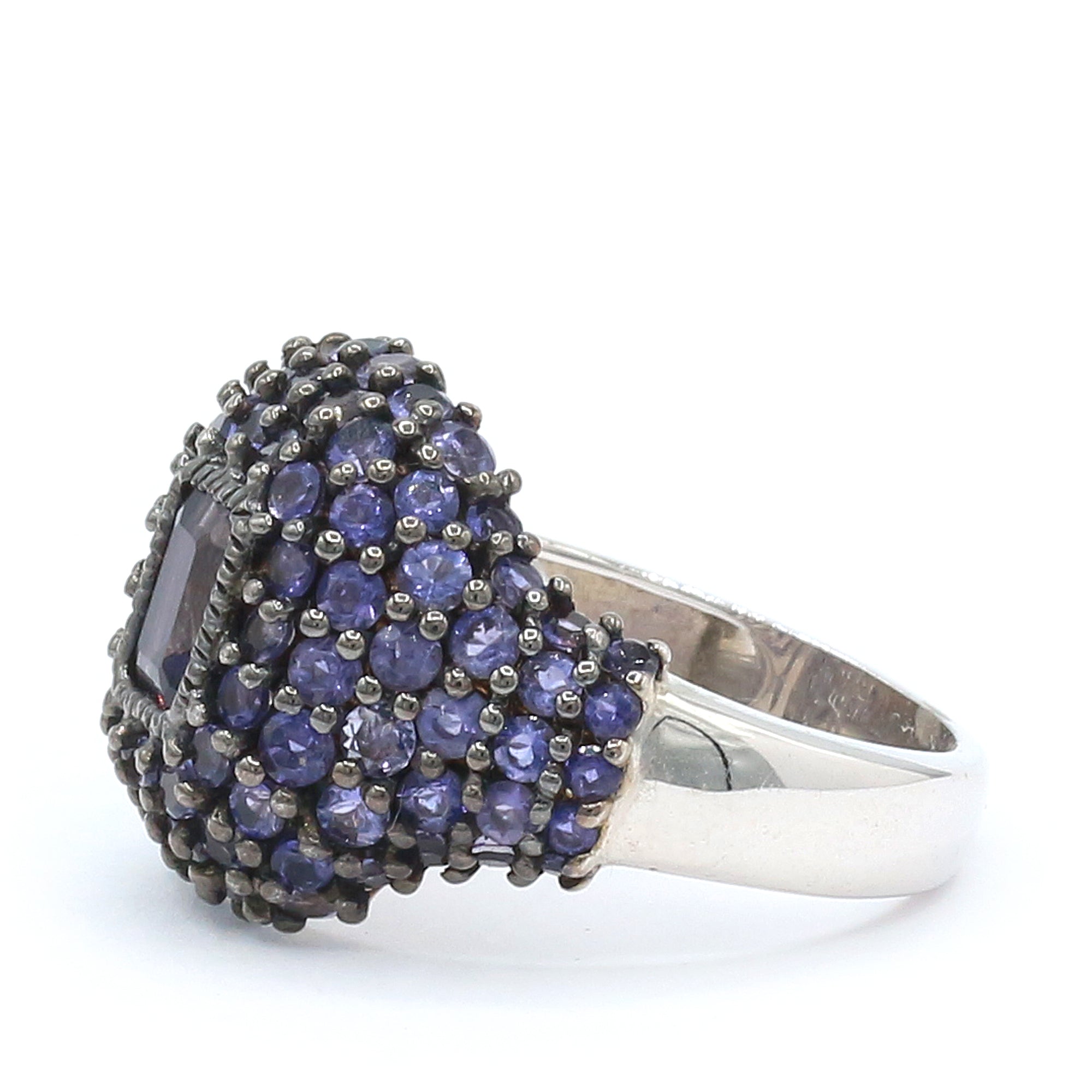 Hall of Jewels 2.52ctw Iolite Octagon Ring