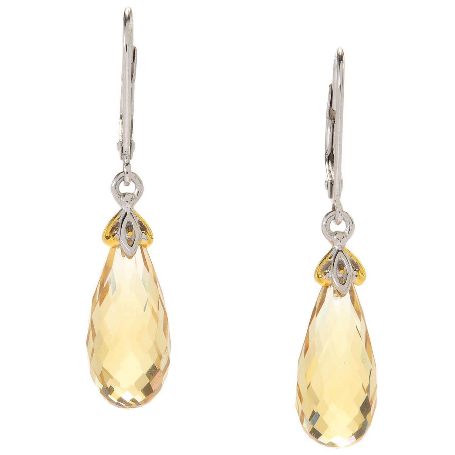 Gems en Vogue 13.00ctw Faceted Briolette Choice of Gemstone Drop Earrings